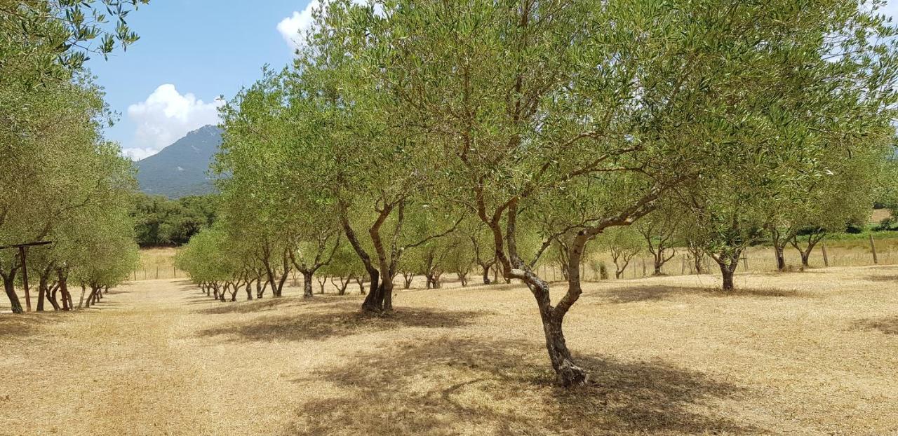 דירות Sartène Casa Erbaggio מראה חיצוני תמונה